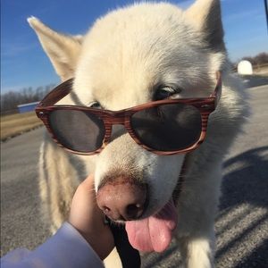 Meet your Posher, Mary